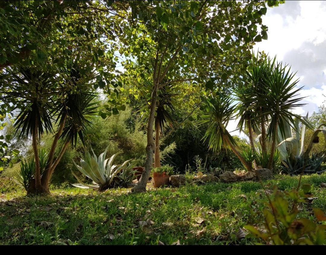 Salento Lapezzaaculuri Villa Guagnano Buitenkant foto